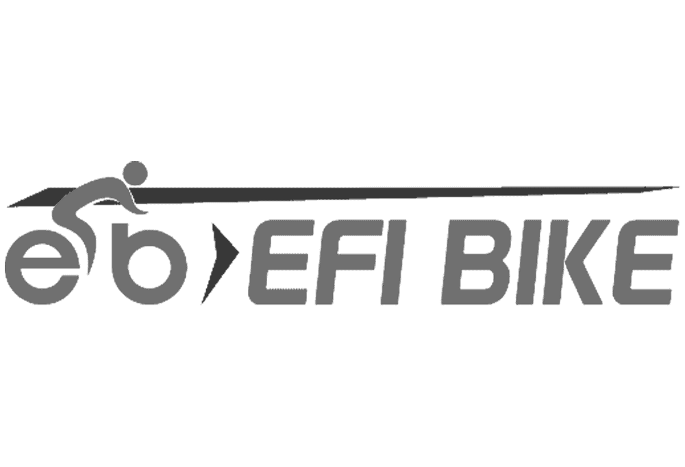 Efi Bike